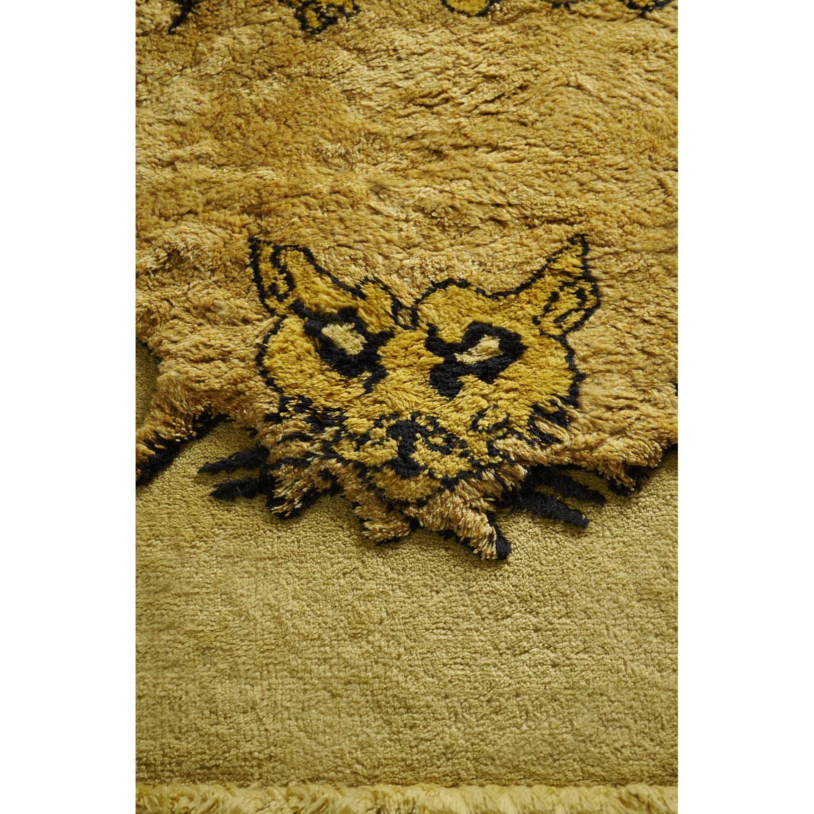 Amini - Tapileo Alfombra Roberto Gabetti e Aimaro Isola