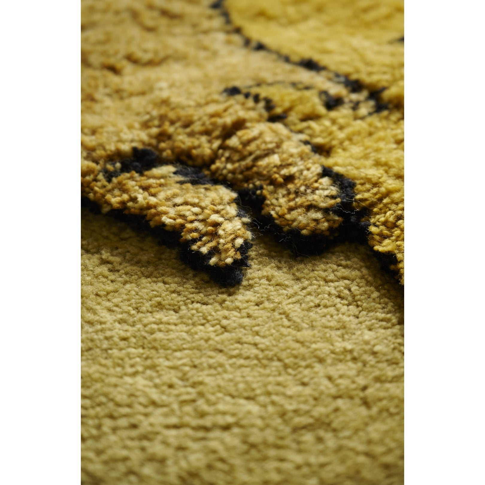 Amini - Tapileo Alfombra Roberto Gabetti e Aimaro Isola