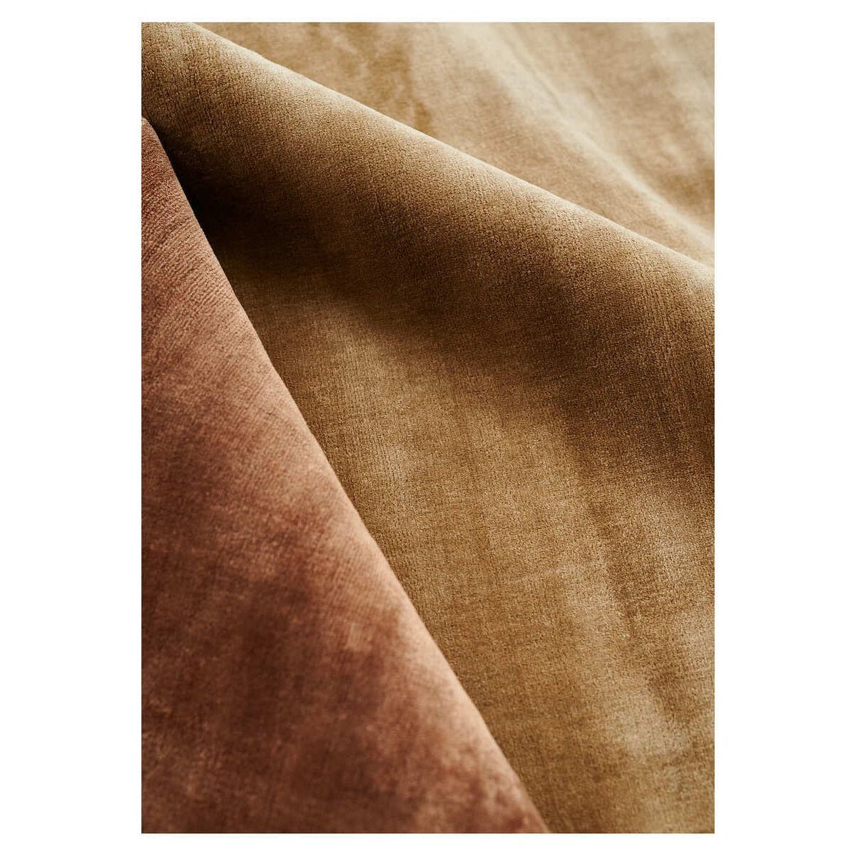 Linie Design - LUCENS Alfombra Ámbar