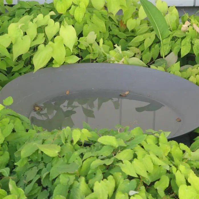 - Adezz - Tonic Planter Box Aluminum
