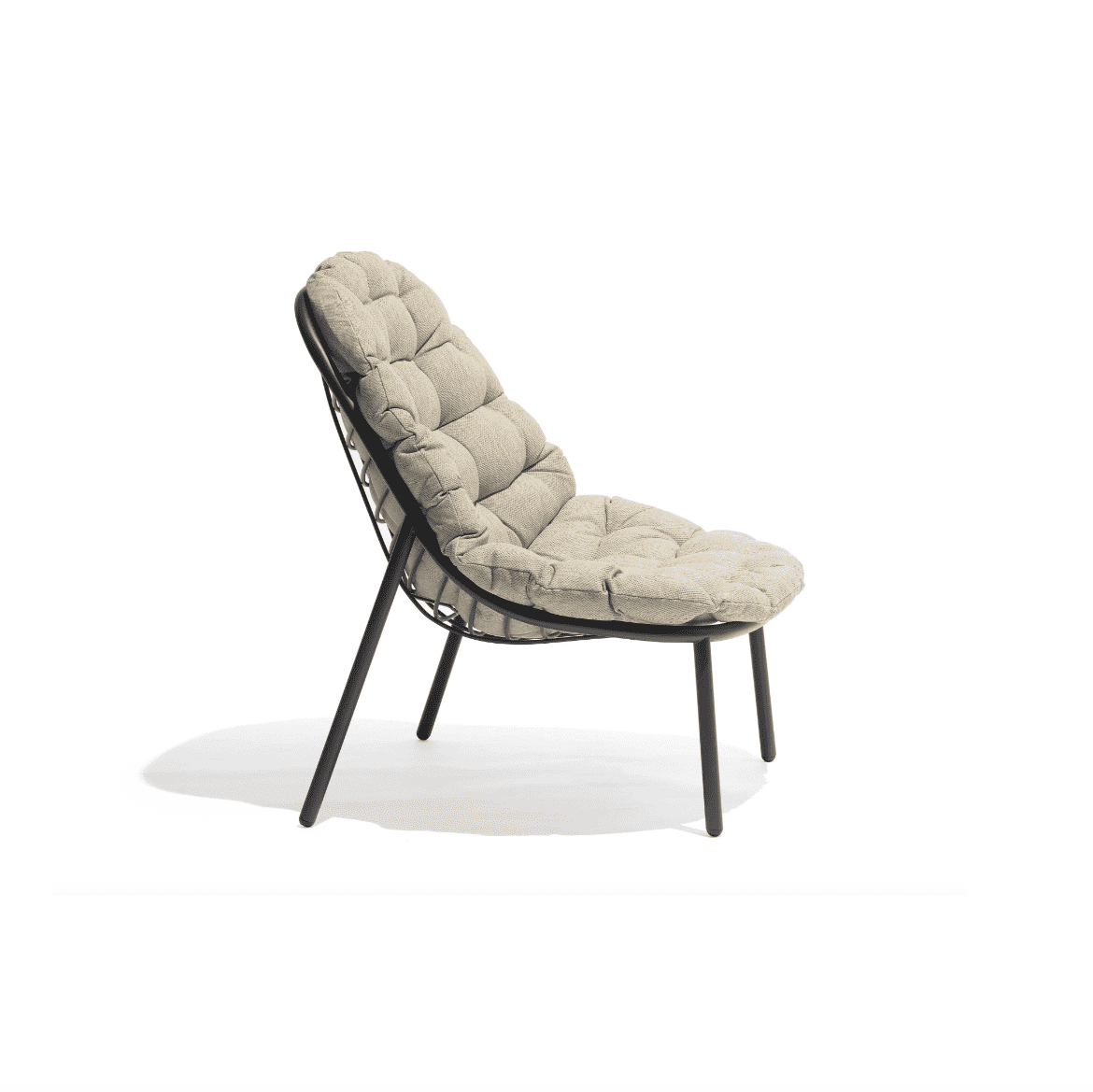 Todus - Sillón Albus