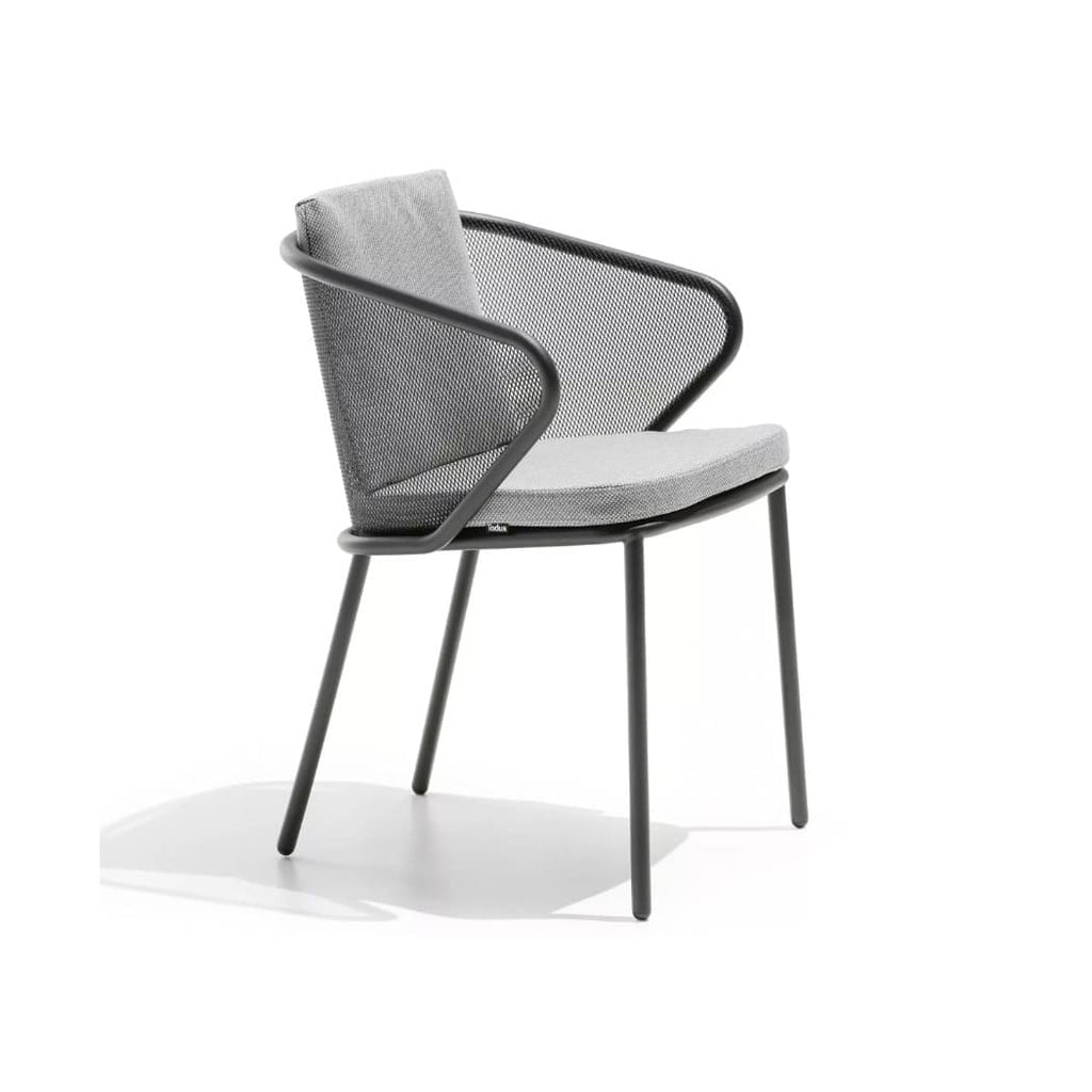 Todus - Silla de brazos Condor