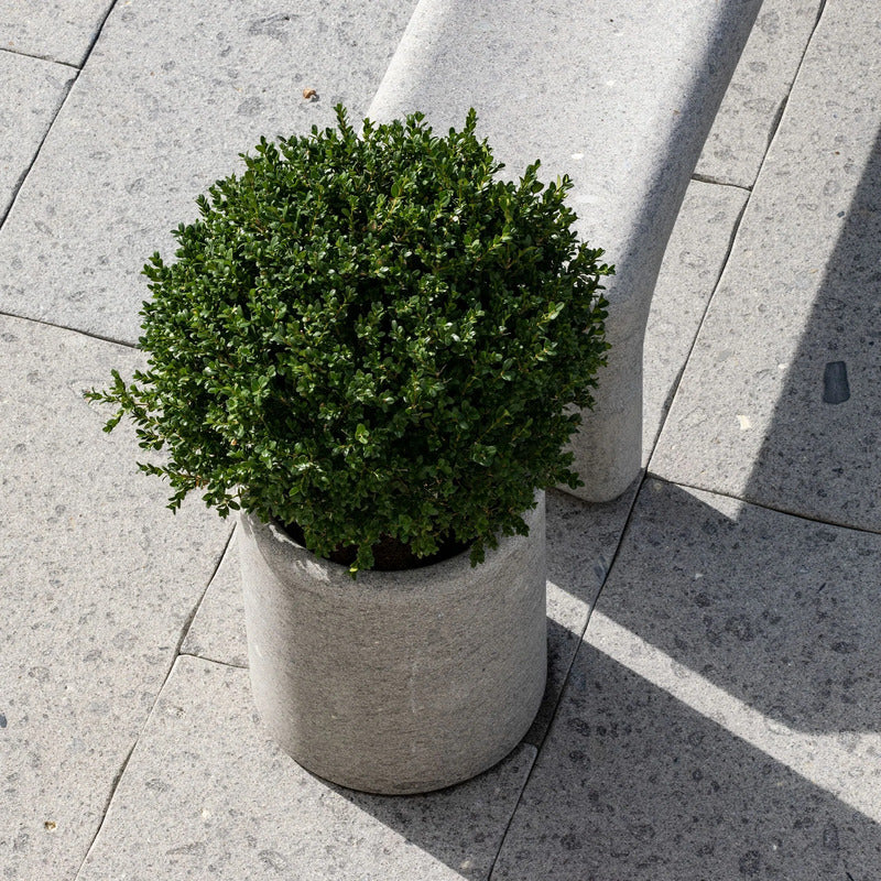 VELTHA® - LAPIS Maceta de jardín redonda de Peperino