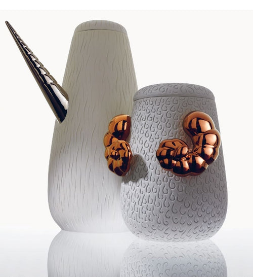 Bosa - Contenedor Animalità Ariete