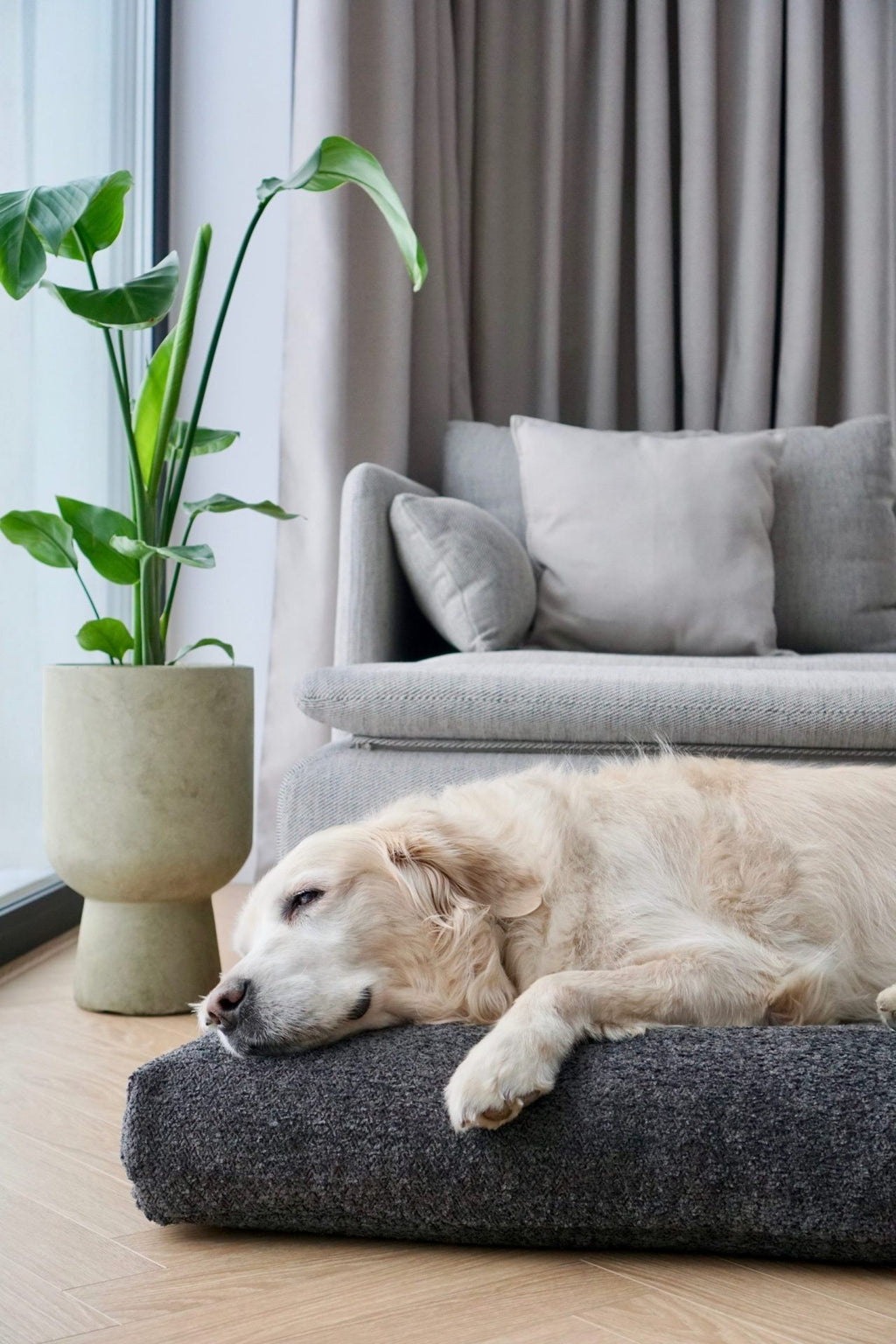 Stokke Dog Bed - Grey
