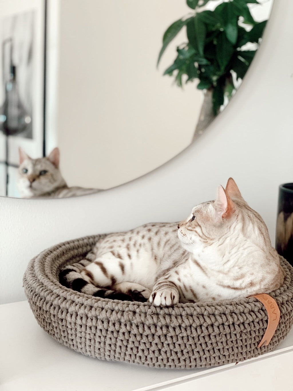 Kikko Table & Lulu Bed for Cat - Honey