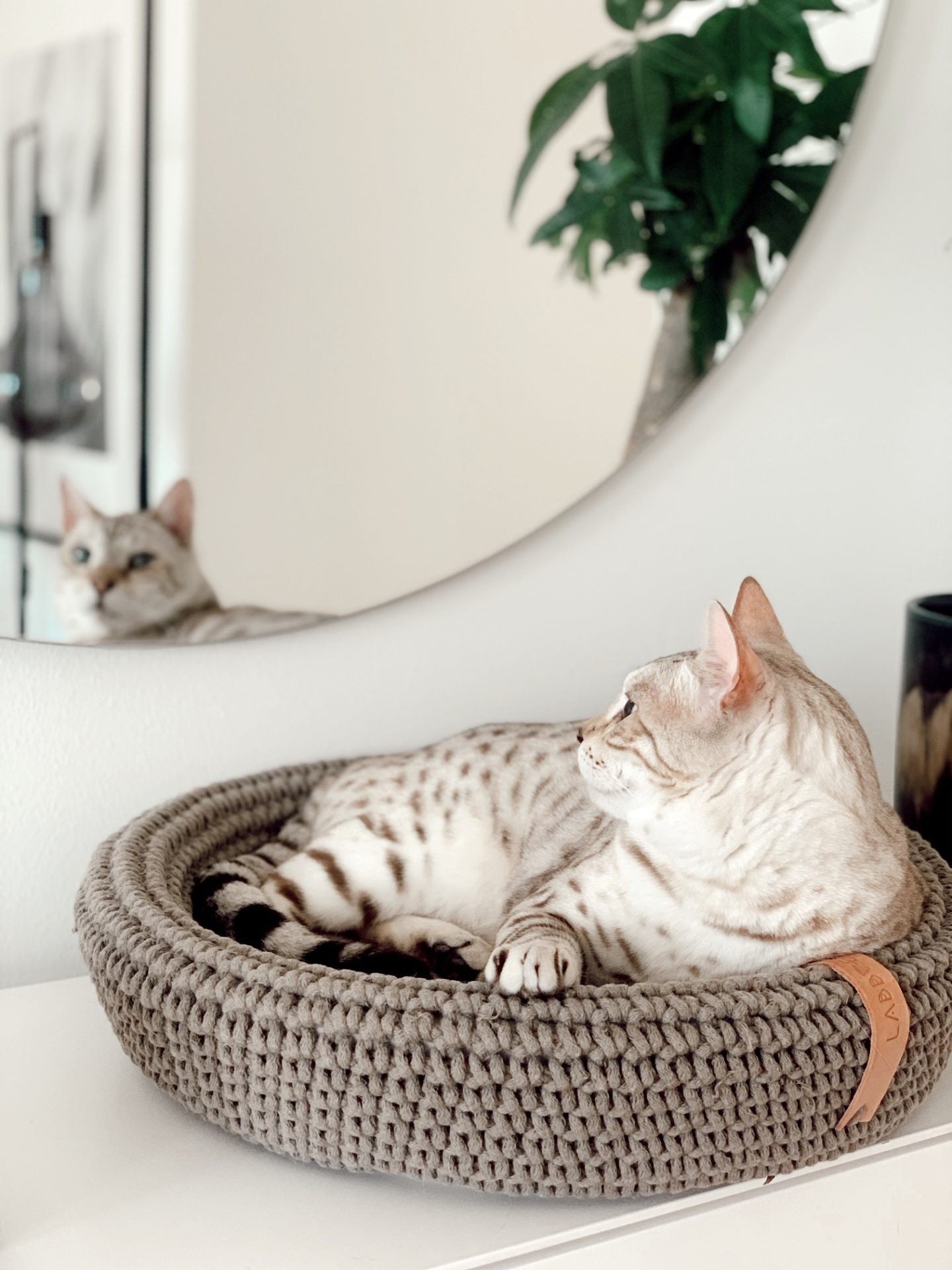 Kikko Table & Lulu Bed for Cat - Honey