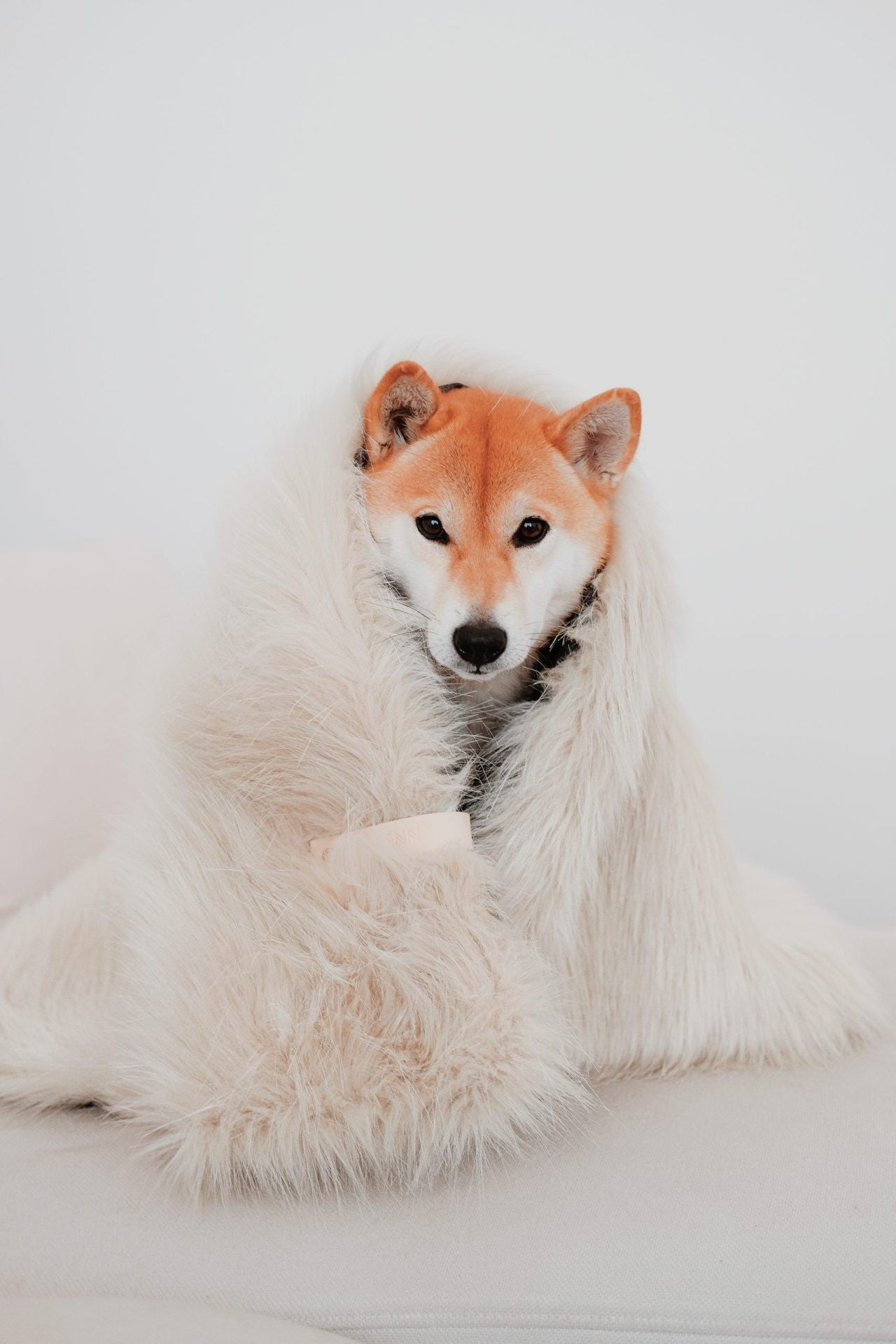 Coco Dog/Cat Bed - Green