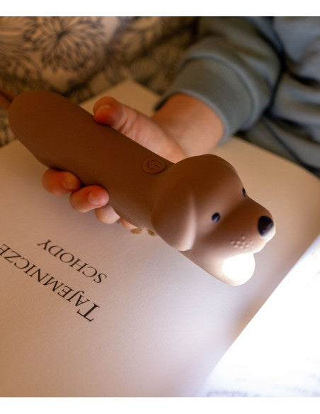 Paw Silicone Lamp - Pink