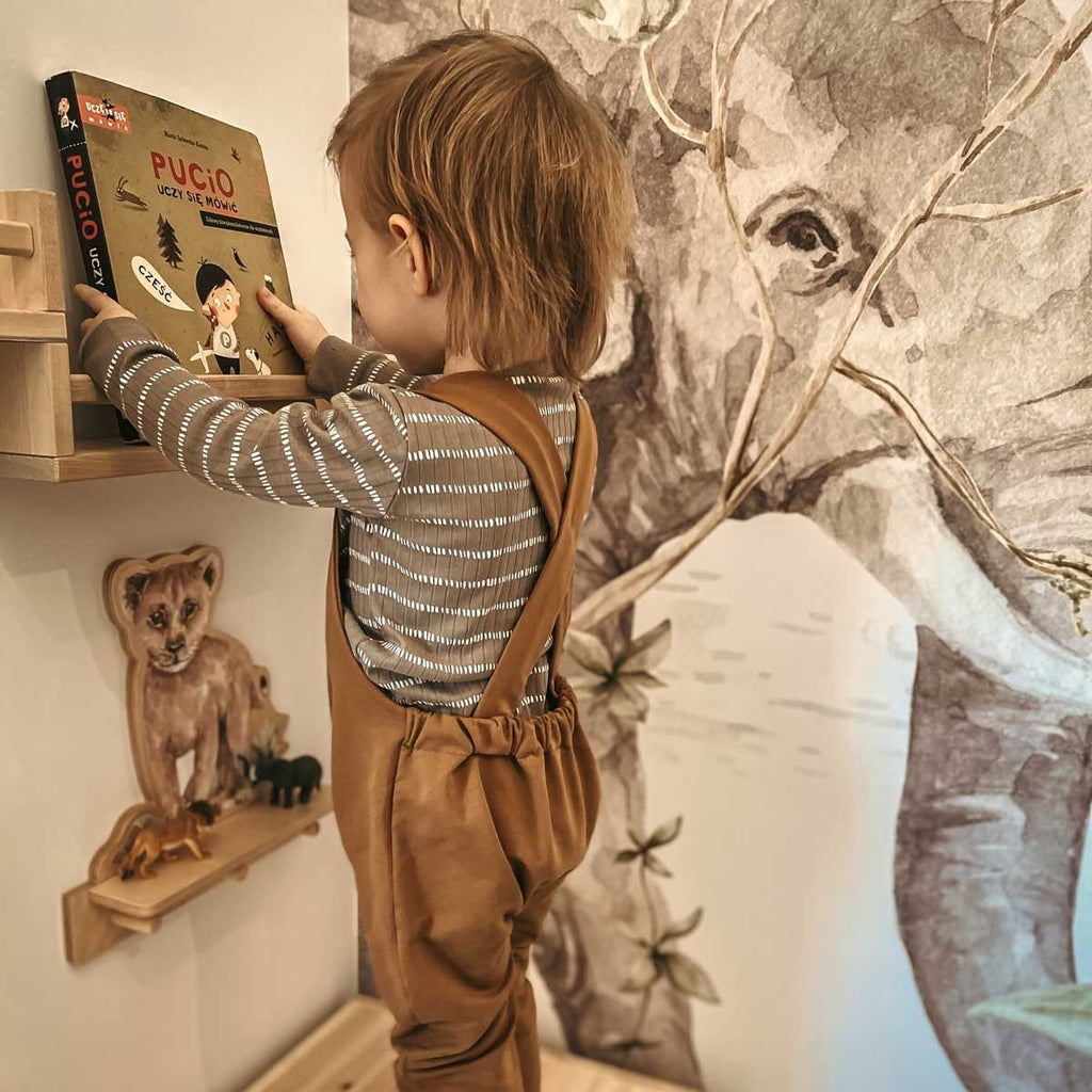 Mini Wall Shelf - Little Bird