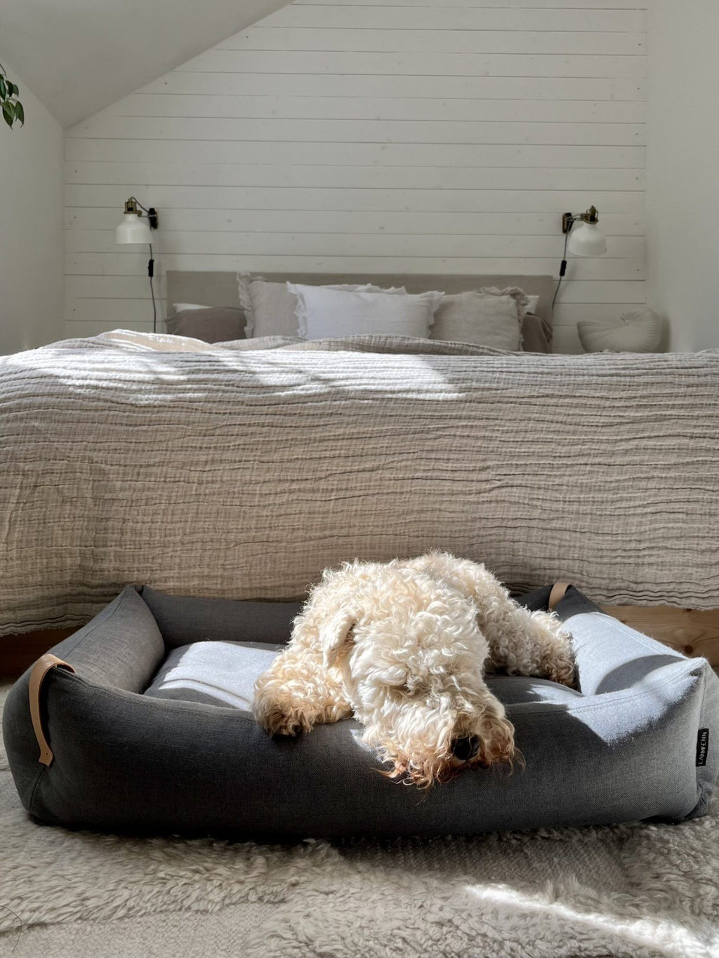 Lukko Dog Bed - Anthracite
