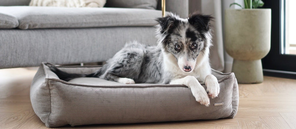 Stokke Dog Bed - Grey & Pink