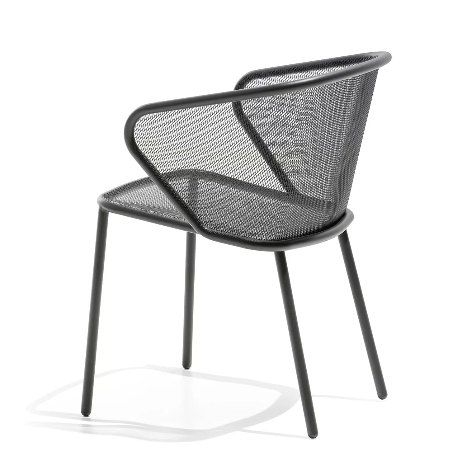 Todus - Silla de brazos Condor