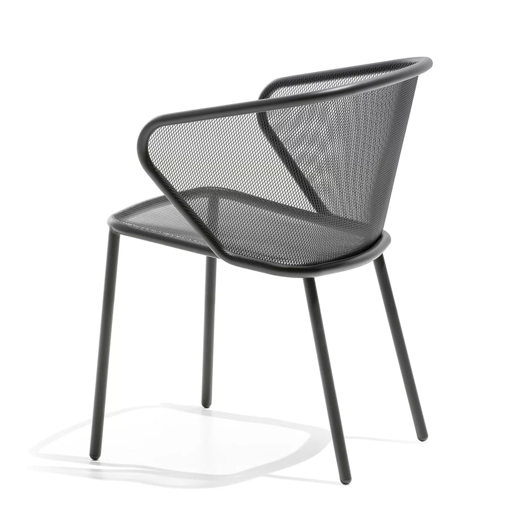 Todus - Silla de brazos Condor