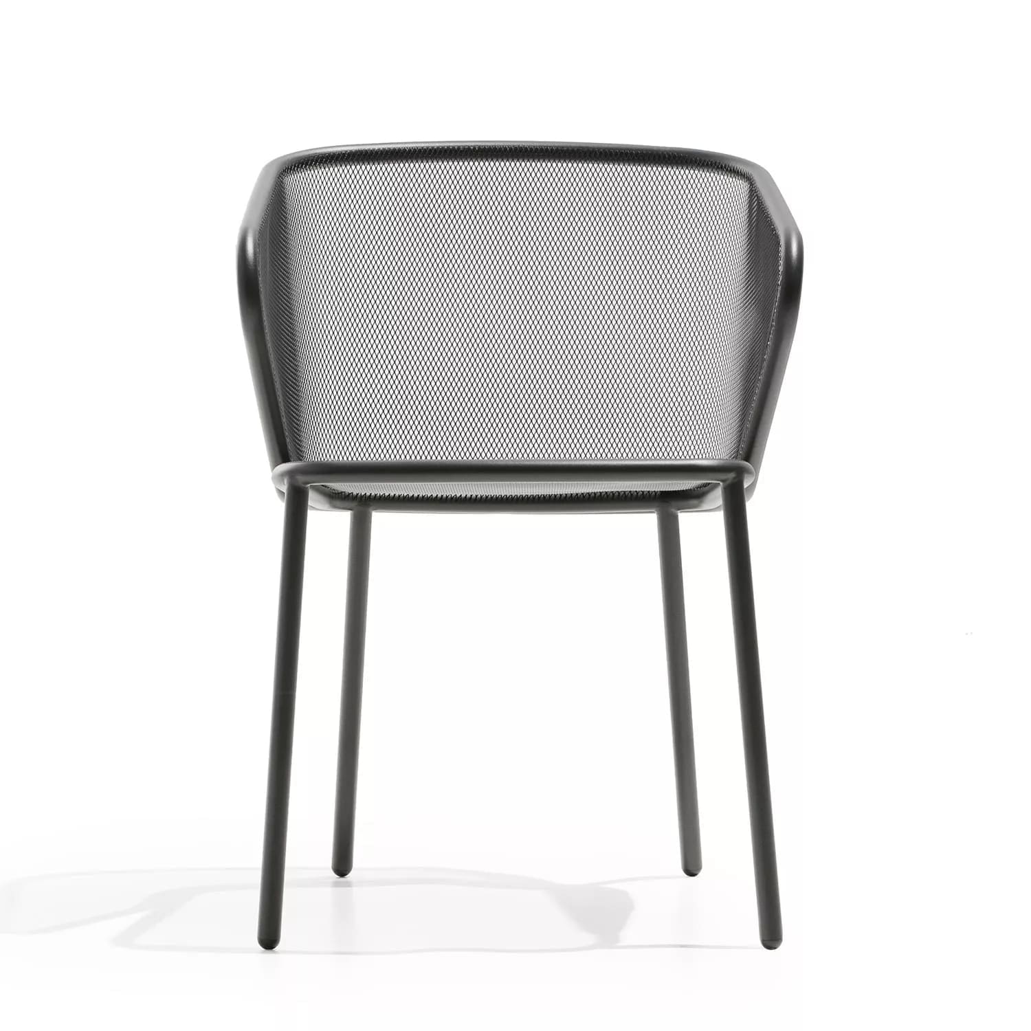 Todus - Silla de brazos Condor